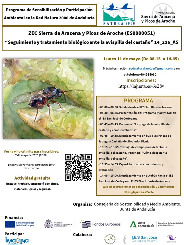 Seguimiento y tratamiento biológico ante la avispilla del castaño